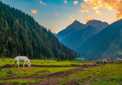 Kashmir Itinerary 5 Nights 6 Days